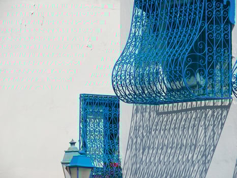 the city of tunis in tunisia photo