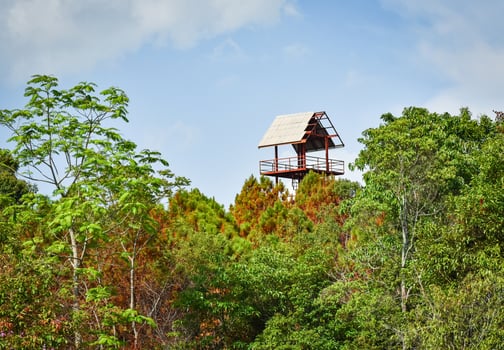 hunting tower lookout view animal wildlife in the forest photo
