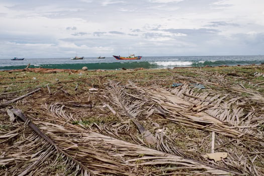 Dried coconut leaves arranged on the seafront photo