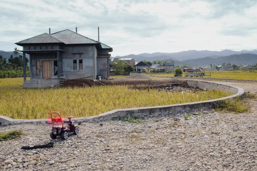 Toy cars and houses in the middle of rice fields photo