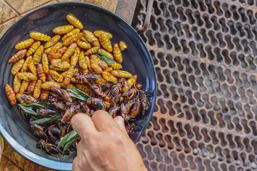 Crispy insects are served in black ceramic plates placed on tables made of steel grates, and fried insects are a popular food paired with alcoholic beverages as they are easy to find and very popular photo