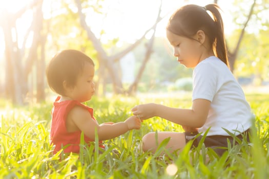 Beautiful young asian kid sitting playing in summer in the park with enjoy and cheerful on green grass, children activity with relax and happiness together on meadow, family and holiday concept. photo