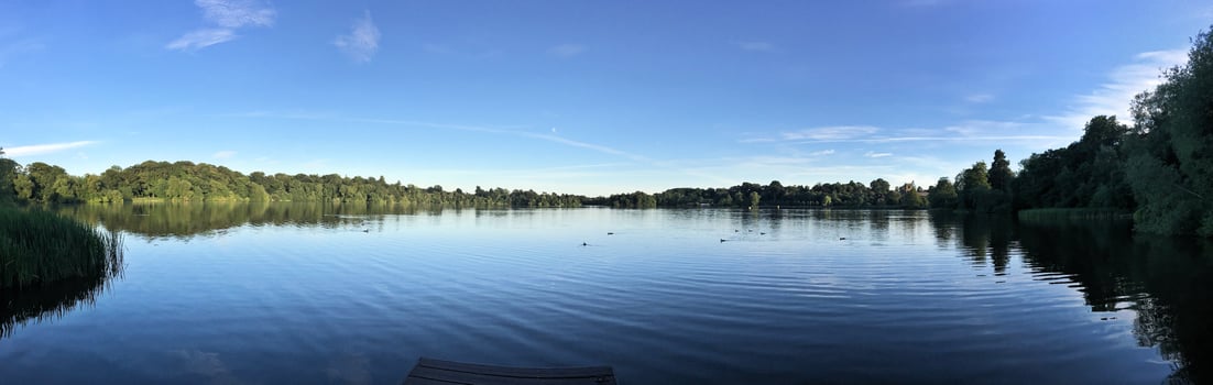 A view of Ellesmere Lake in the evening sun photo