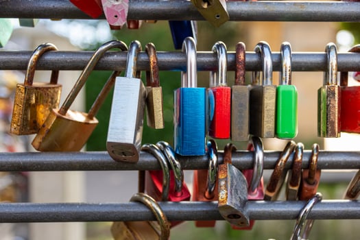 love locks in close-up in nature photo