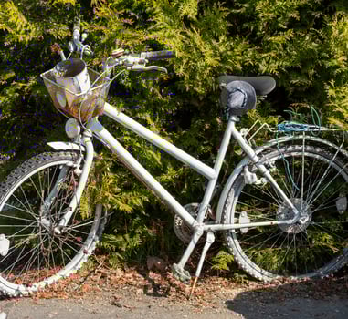 old bicycle in front of a hedge photo