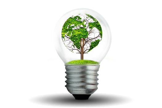 world shaped tree in light bulb concept of environmental conservation and protecting nature photo