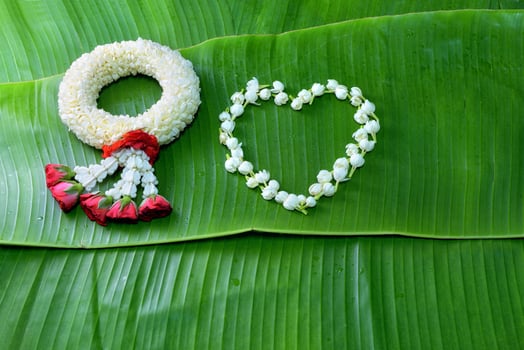 Thai traditional jasmine garland.symbol of Mother's day in thailand on Banana leaf photo