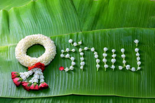 Thai traditional jasmine garland. symbol of Mother's day in thailand on Banana leaf with Love Mother in Thai word. photo