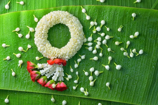 Thai traditional jasmine garland.symbol of Mother's day in thailand on Banana leaf photo