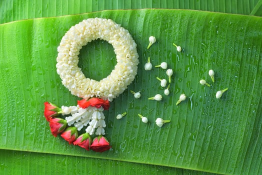 Thai traditional jasmine garland.symbol of Mother's day in thailand on Banana leaf photo