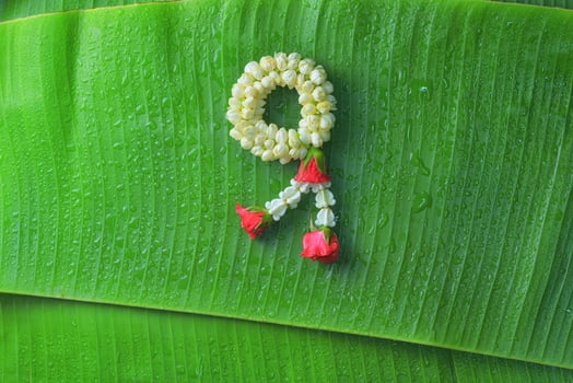 Thai traditional jasmine garland.symbol of Mother's day in thailand on Banana leaf photo