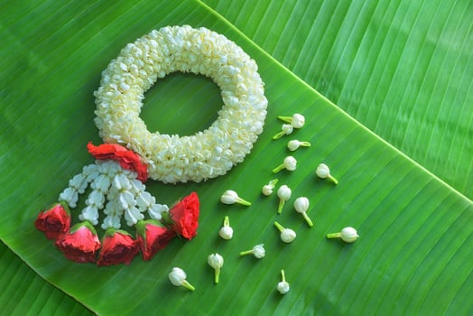 Thai traditional jasmine garland.symbol of Mother's day in thailand on Banana leaf photo