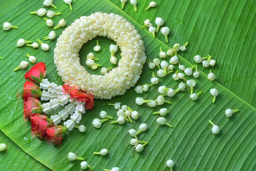 Thai traditional jasmine garland.symbol of Mother's day in thailand on Banana leaf photo