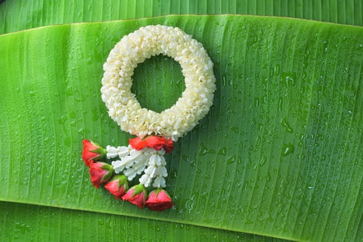 Thai traditional jasmine garland.symbol of Mother's day in thailand on Banana leaf photo