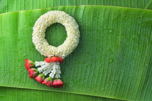 Thai traditional jasmine garland.symbol of Mother's day in thailand on Banana leaf photo