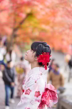 young woman tourist wearing kimono enjoying with colorful leaves in Kiyomizu dera temple, Kyoto, Japan. Asian girl with hair style in traditional Japanese clothes in Autumn foliage season photo