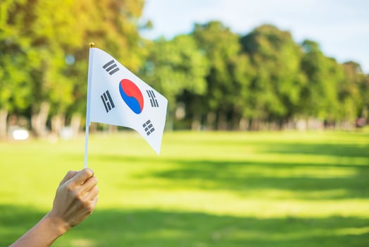 hand holding Korea flag on nature background. National Foundation, Gaecheonjeol, public Nation holiday, National Liberation Day of Korea and happy celebration concepts photo