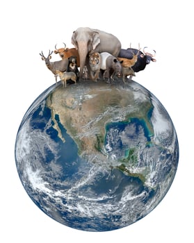 group of asia animal with planet earth photo