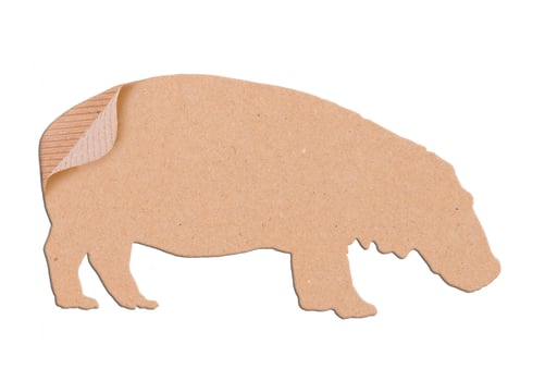 hippopotamus shape paper box photo