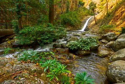 the great waterfall in Thailand, the Onsen atmosphere. beautiful deep forest waterfall in Thailand. photo