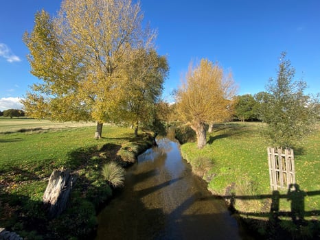 A view of Richmond Park in London in the Autumn sunshine photo