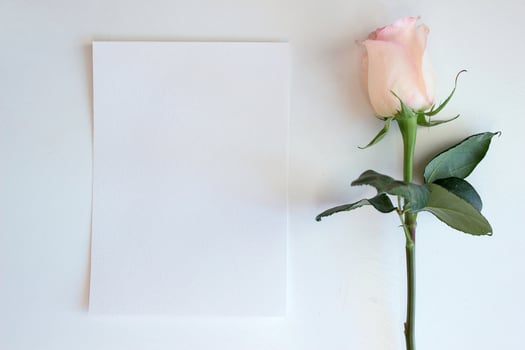 Pink Rose and Blank paper Mockup photo