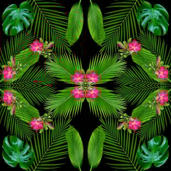 Green monstera leaves pattern for nature concept,tropical leaf textured background photo