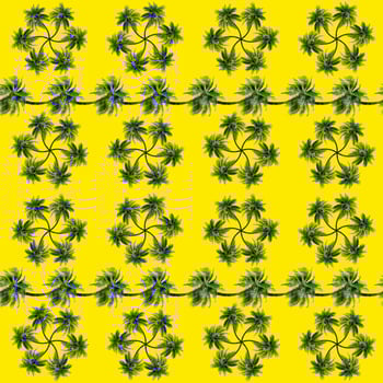 Green palm leaves pattern for nature concept,tropical coconut tree isolated on yellow background photo