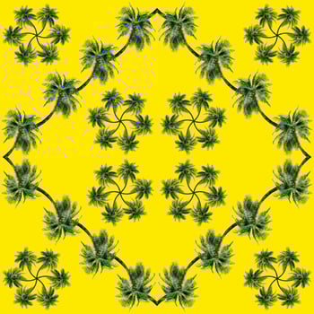 Green palm leaves pattern for nature concept,tropical coconut tree isolated on yellow background photo