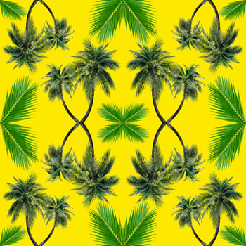 Green palm leaves pattern for nature concept,tropical coconut tree isolated on yellow background photo