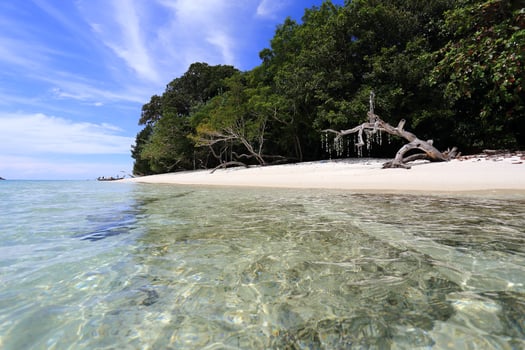 Beautiful tropical beach and sky photo