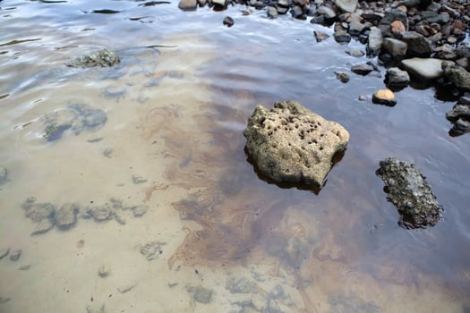 Gulf oil spill is shown on a beach photo