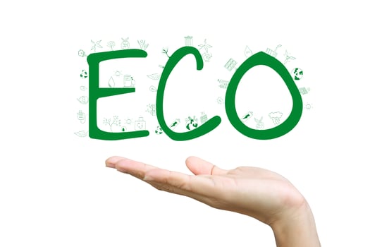 Green Eco Earth, Isolated On White Background photo