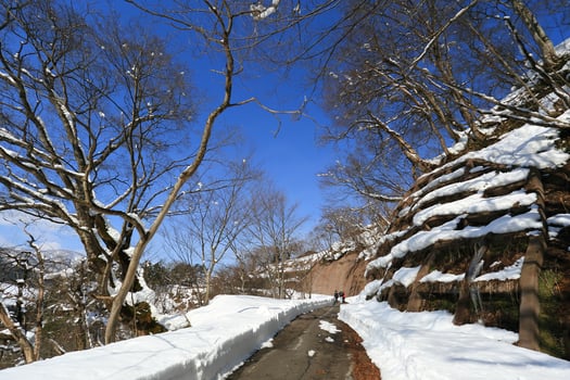 road leads people to Shiroyama Viewpoint photo