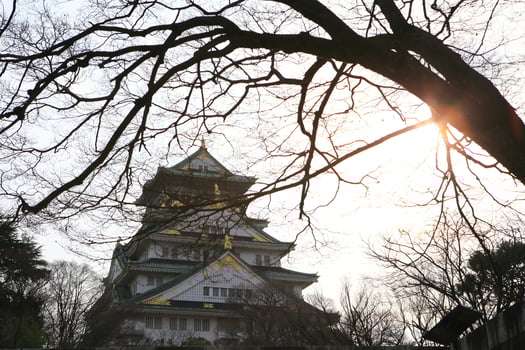 Osaka Castle in Osaka, Japan photo