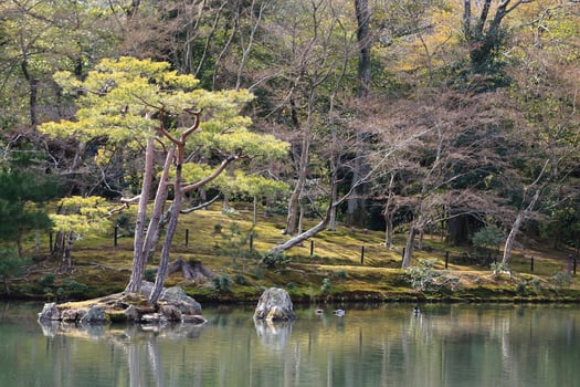 Japanese garden at famous Kinkakuji photo