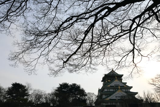 Osaka Castle in Osaka, Japan photo