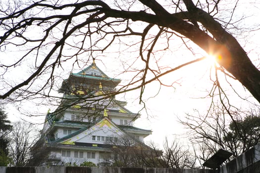 Osaka Castle in Osaka, Japan photo