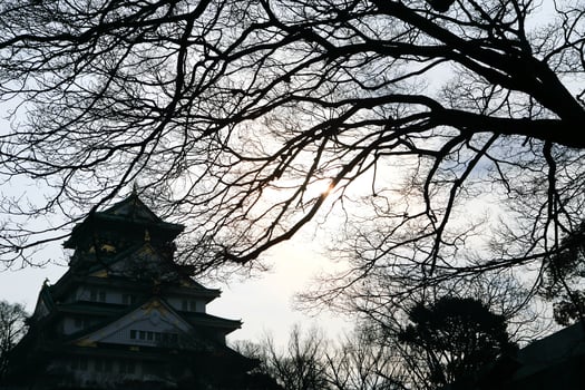 Osaka Castle in Osaka, Japan photo