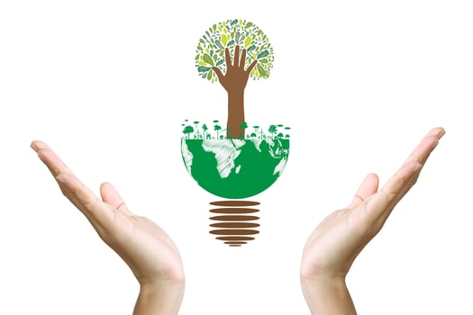 Green concept. Tree on the earth in hand photo
