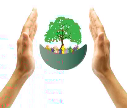 Concept of environment protection - hands and eco photo
