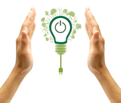 green eco energy concept, plant growing on light bulb photo