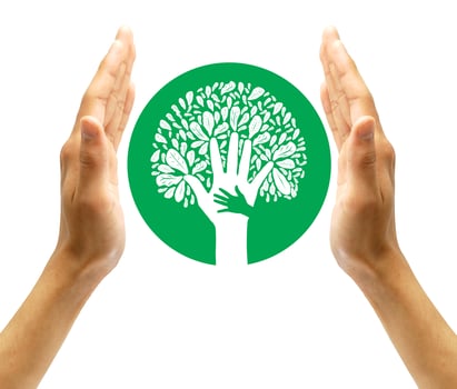 ecology concept - leaf design element made from icons and signs photo