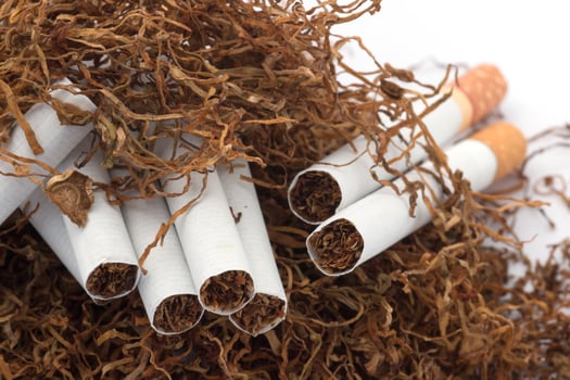 Tobacco pile and cigarettes photo