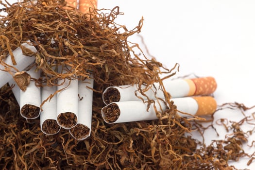 Tobacco pile and cigarettes photo