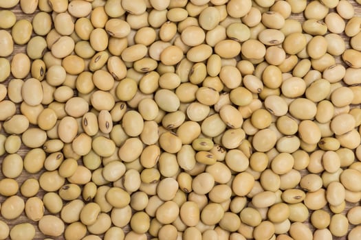 soy beans background photo