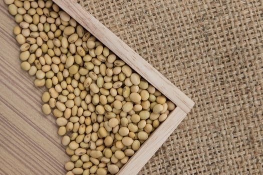 soy bean on the sacks background. photo