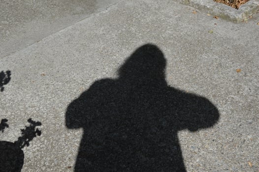 Shadows on the ground photo