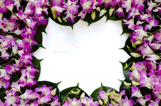 Pink orchid flowers put on rubber tree leaves for spring blossom photo concept.