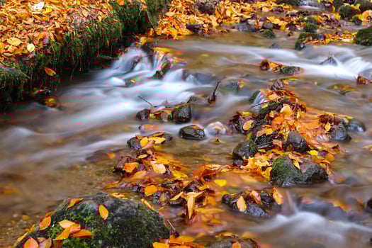 Waterfall in Yedigoller National Park, Bolu, Turkey photo